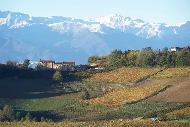 Domaine Cascina Corte