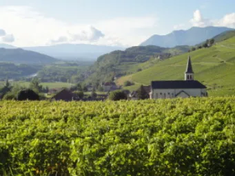 Domaine partagé (Gilles-Berlioz)