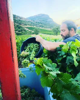 Domaine Nicolas Mariotti Bindi - portrait
