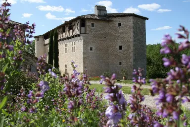 Château de Mayragues