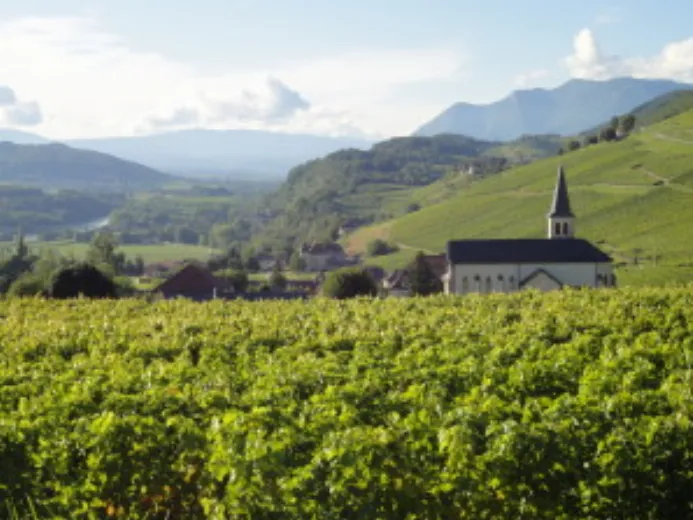 Domaine partagé (Gilles-Berlioz)