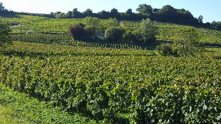 Domaine Jean-Yves Millaire