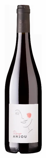 DOMAINE DE L'ENCHANTOIR - Rouge Anjou 2025 bib 5L