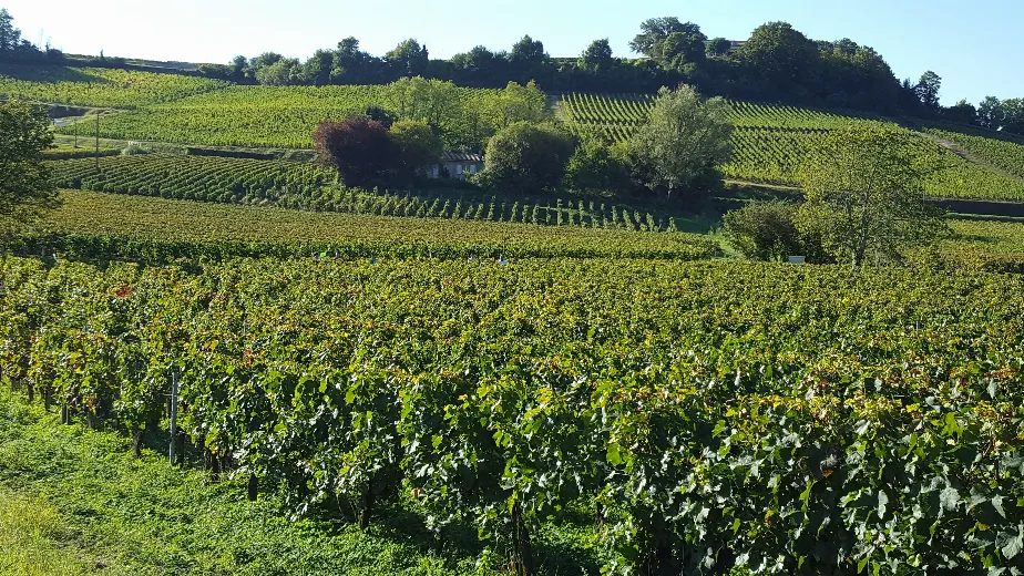 Domaine Jean-Yves Millaire