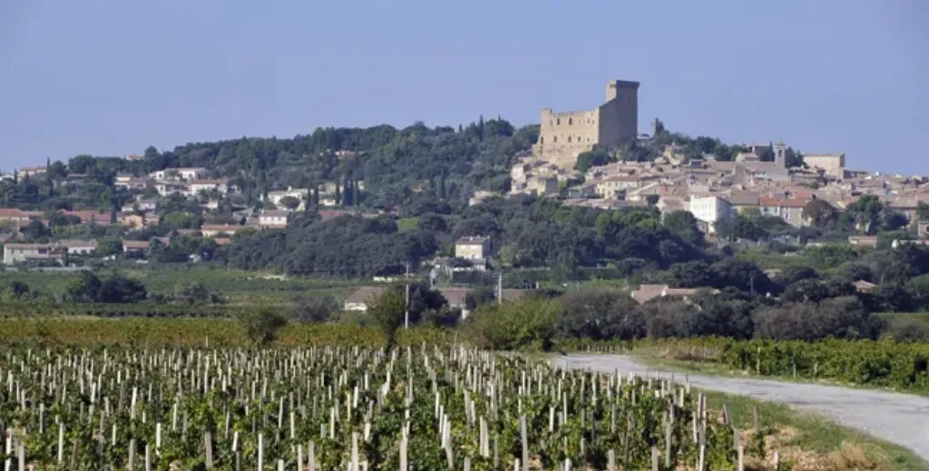 Domaine Duseigneur