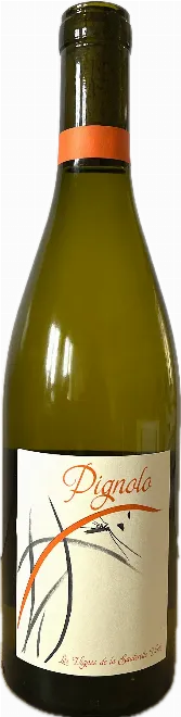 DOMAINE ADRIEN BERLIOZ - Pignolo 2024