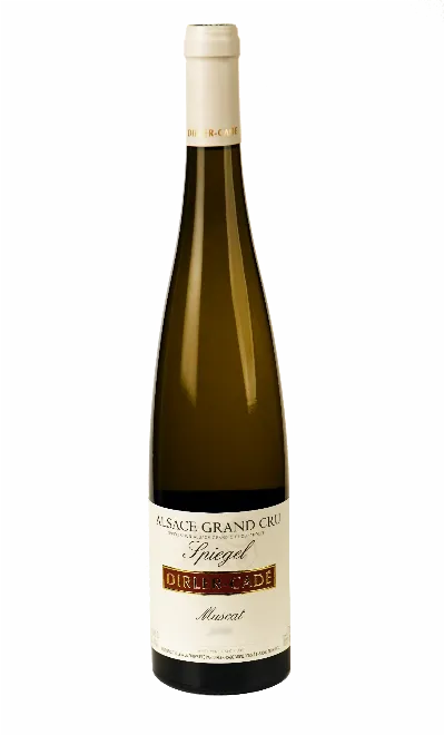 DOMAINE DIRLER-CADE - Muscat Grand Cru Spiegel 2020 AIR