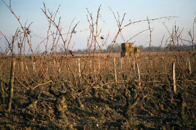 Domaine de l'R