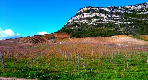 Domaine Nicolas Mariotti Bindi