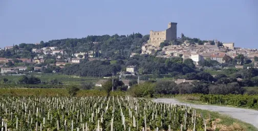 Domaine Duseigneur
