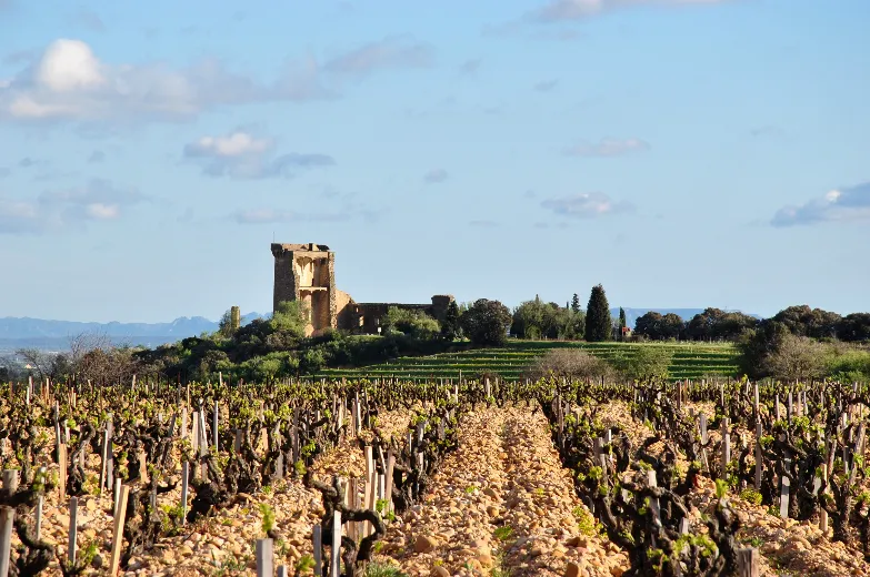 Domaine Duseigneur