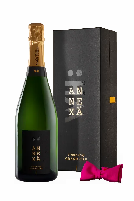 Annexä - 2015