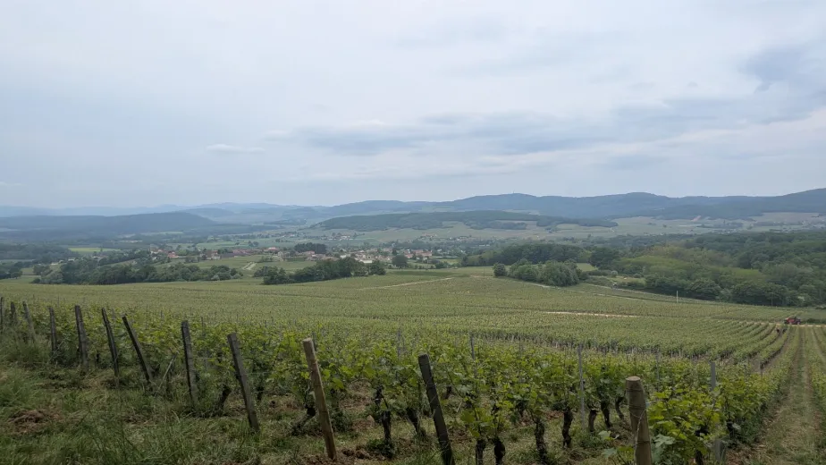 Domaine Aimé Blouzard
