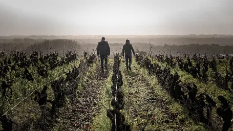 Domaine Bonnet-Huteau