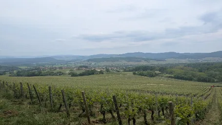 Domaine Aimé Blouzard