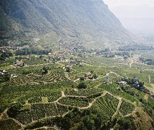 Domaine Adrien Berlioz