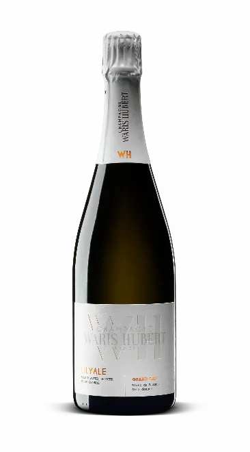 Lilyale