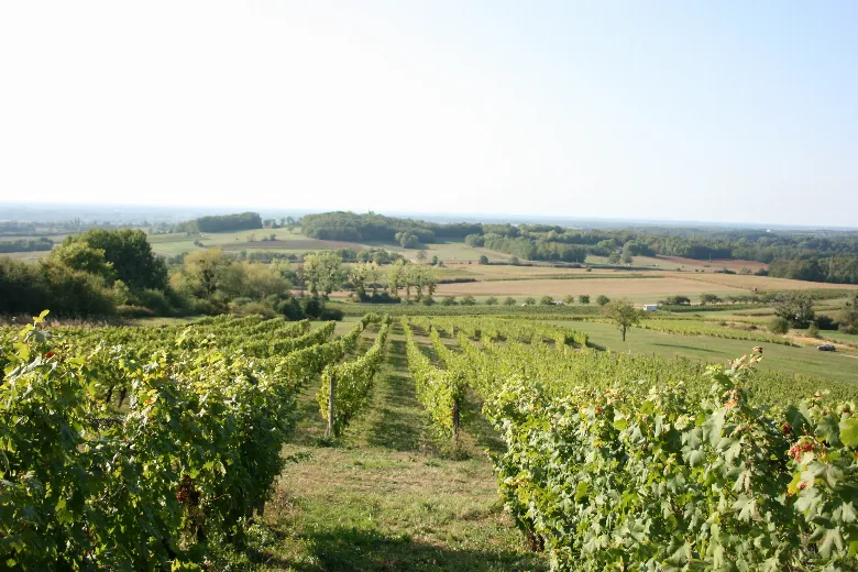 Domaine Eric Thill