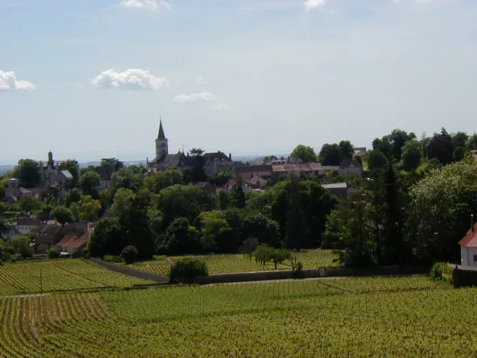 Domaine Jaeger Defaix