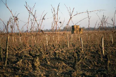 Domaine de l'R