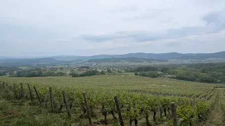 Domaine Aimé Blouzard