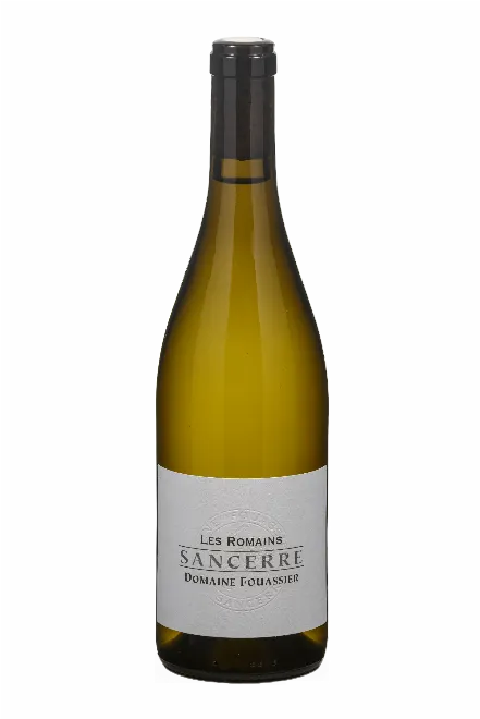 DOMAINE FOUASSIER - Les Romains 2022