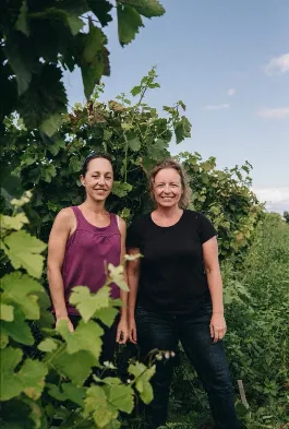 Domaine les 4 Vents - portrait