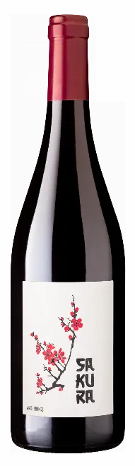 DOMAINE DUSEIGNEUR - Sakura 2023