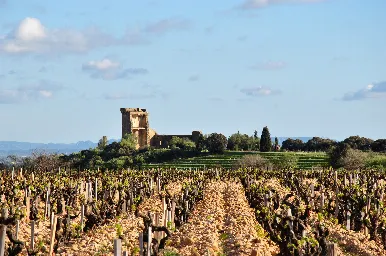 Domaine Duseigneur